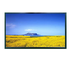55" 4K LED Monitor